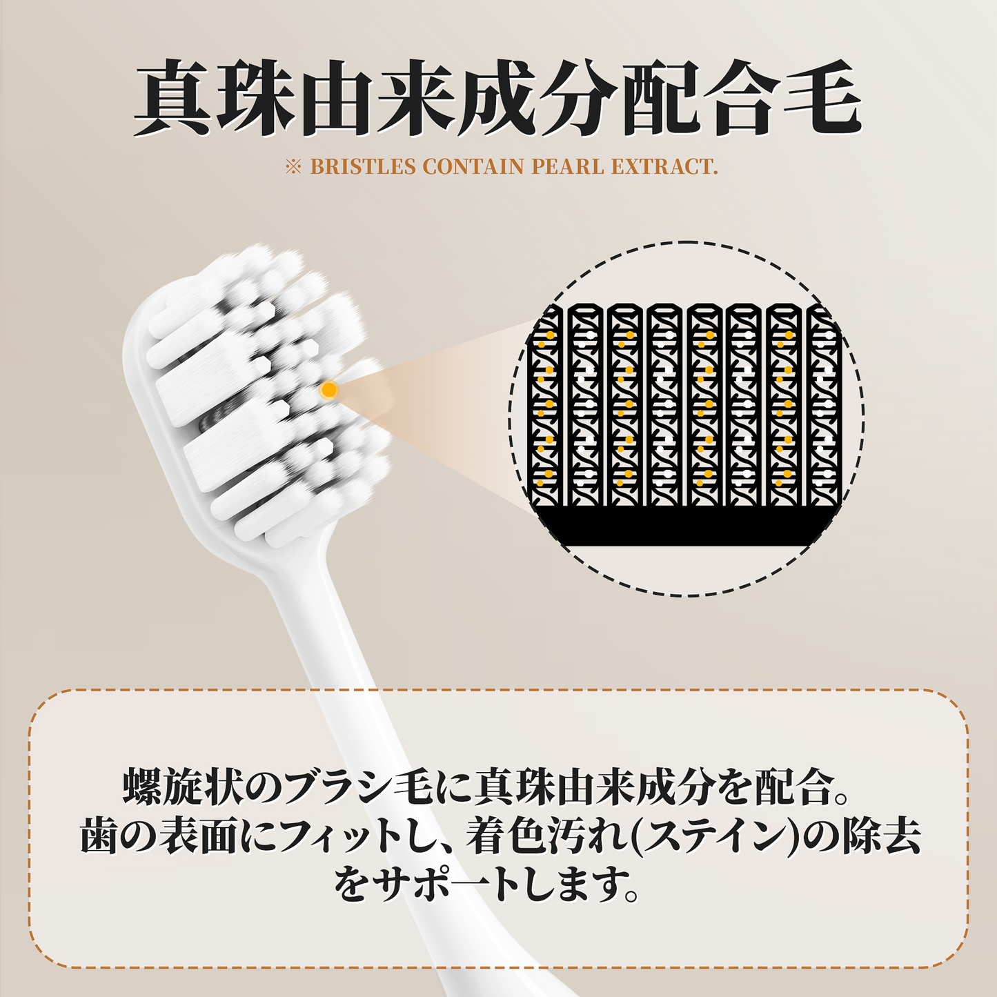 RoseFish ブライタム 美白手動歯ブラシ | 自然な白さを実現 サロンに通う必要なし | 抗菌清潔 | 0.12mm 極細毛 | 敏感な歯ぐきにも適し | 4 か月で効果が出る